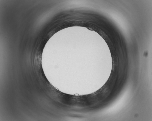 X0000116650190201001111237