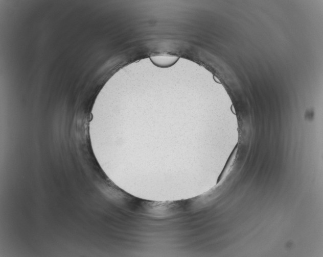 X0000116650191201001111237