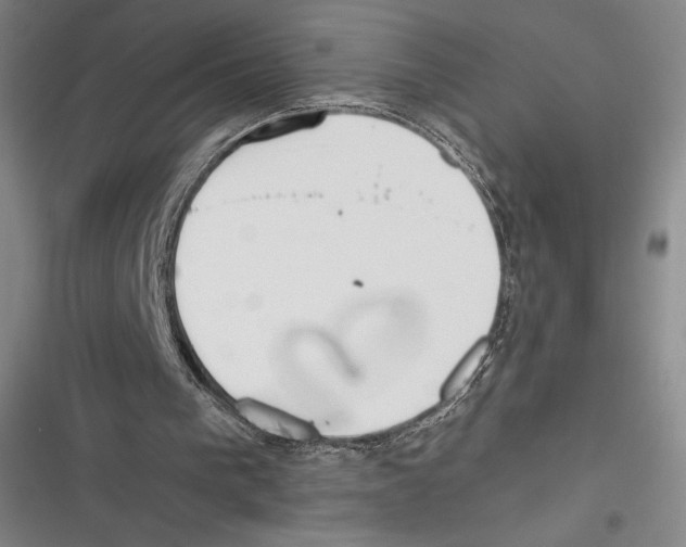 X0000116650193201001111236