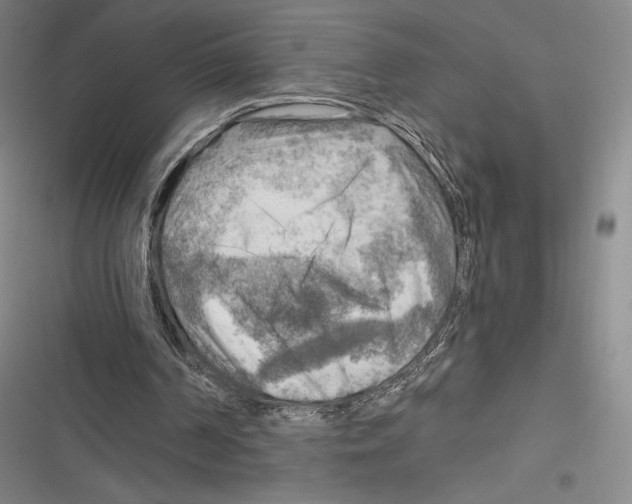 X0000116650194201001111236