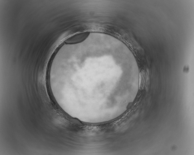 X0000116650195201001111236