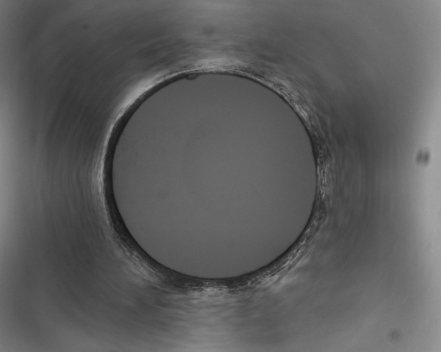 X0000116650196201001111236