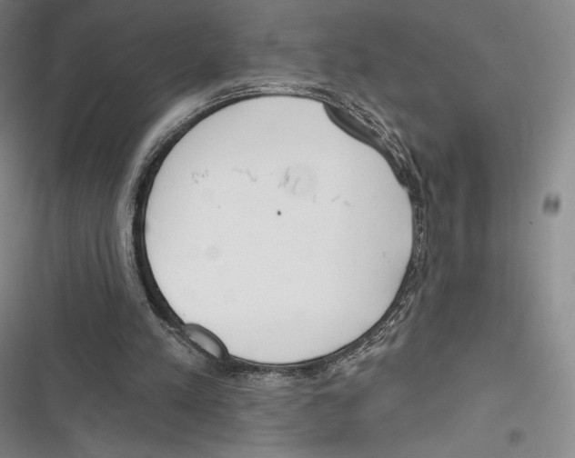 X0000116650197201001111236