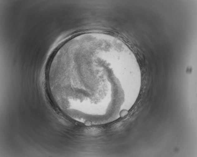 X0000116650198201001111236