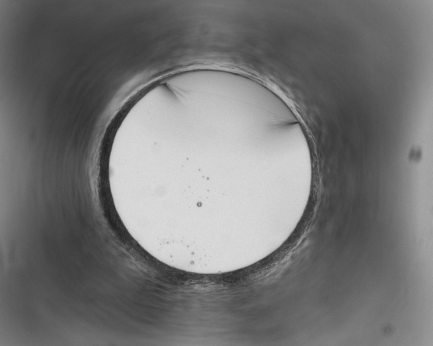 X0000116650199201001111236
