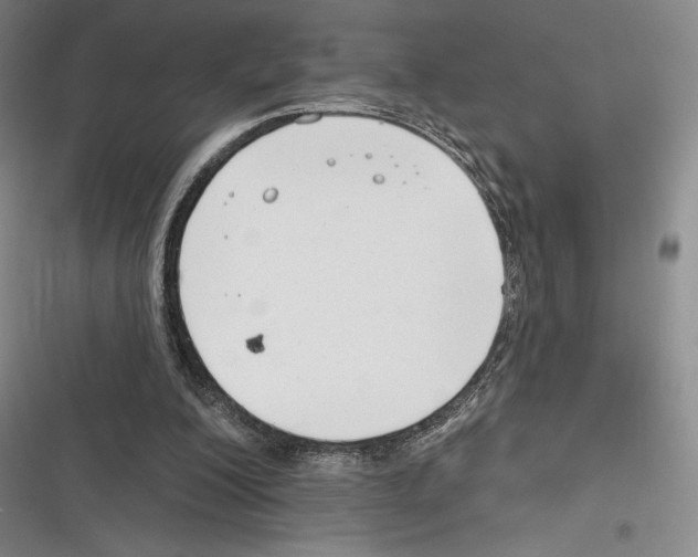 X0000116650200201001111236