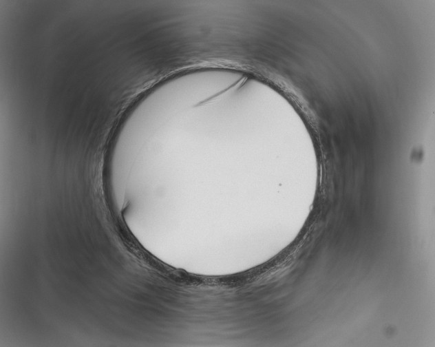 X0000116650201201001111236