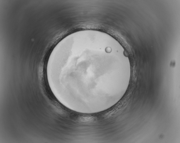 X0000116650202201001111236