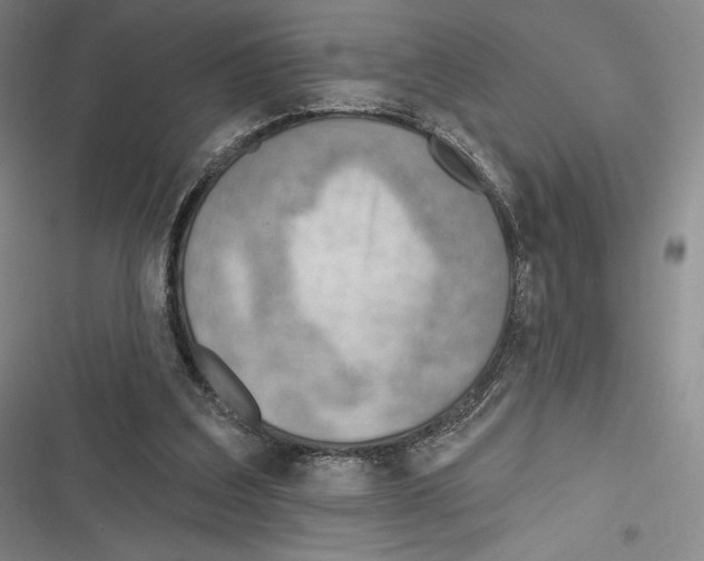 X0000116650203201001111236