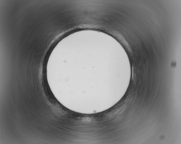 X0000116650204201001111236