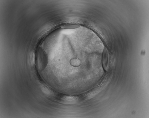 X0000116650205201001111236