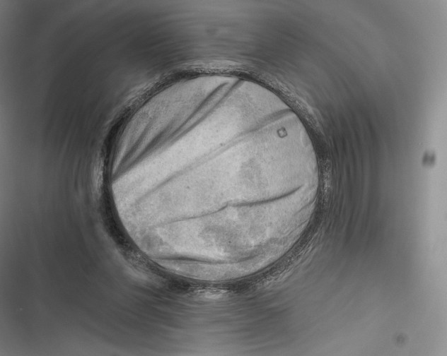 X0000116650206201001111236