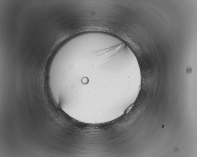 X0000116650207201001111236