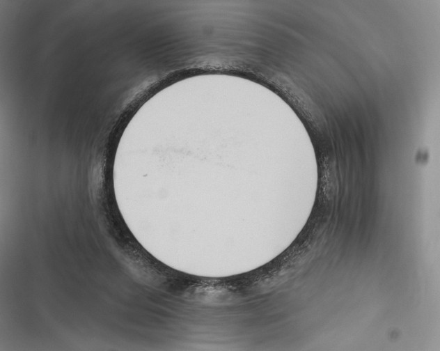X0000116650208201001111236