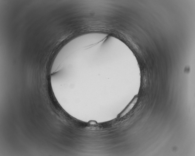 X0000116650211201001111236