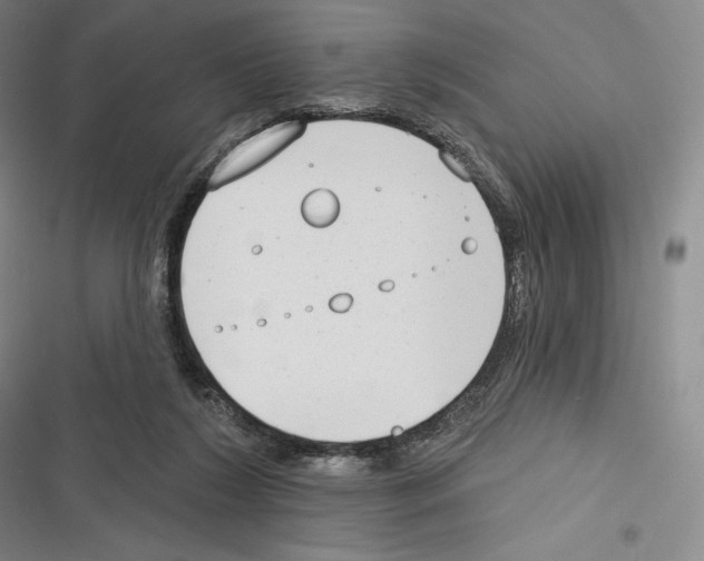 X0000116650212201001111236