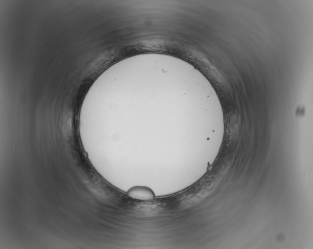 X0000116650213201001111236