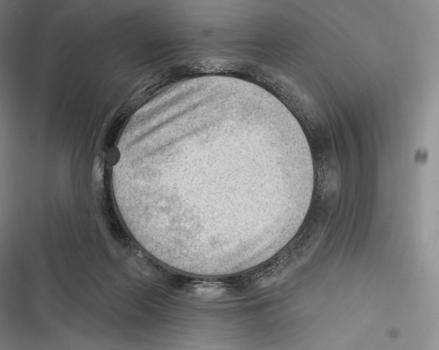 X0000116650214201001111236