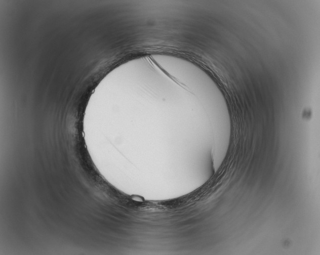 X0000116650215201001111236