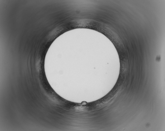 X0000116650216201001111236