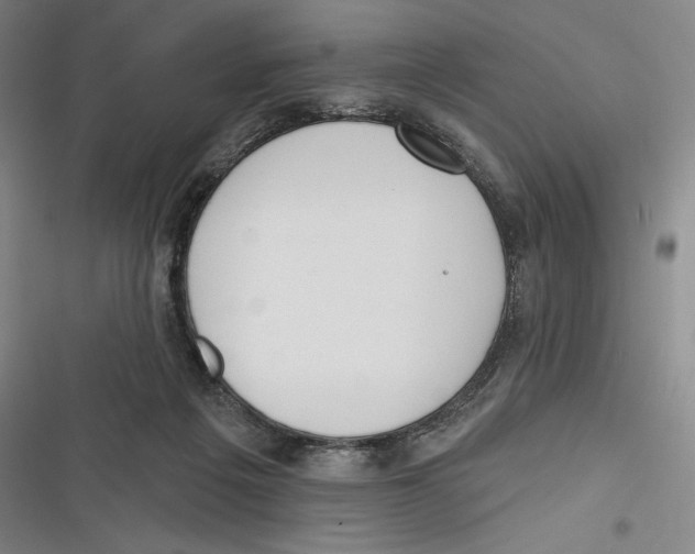 X0000116650217201001111236