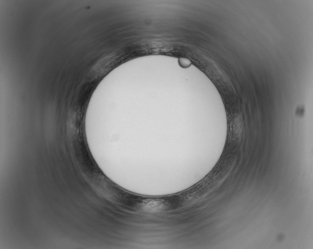 X0000116650218201001111236