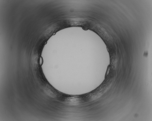 X0000116650219201001111236