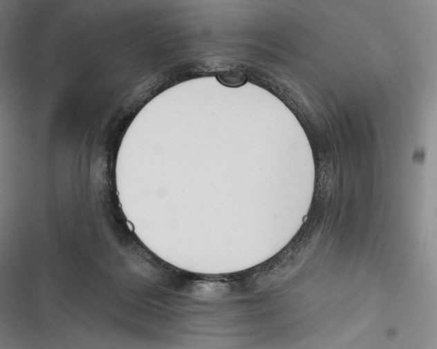 X0000116650220201001111236