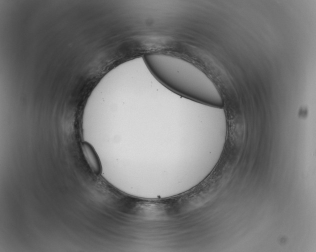 X0000116650221201001111236