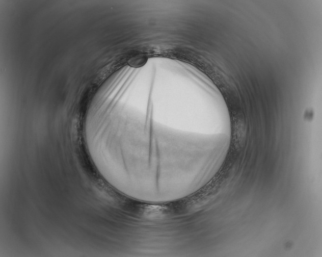 X0000116650222201001111236