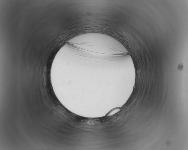 X0000116650223201001111236