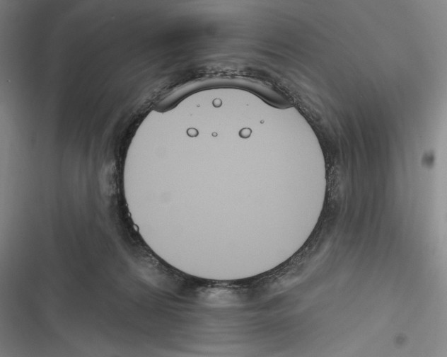 X0000116650224201001111236