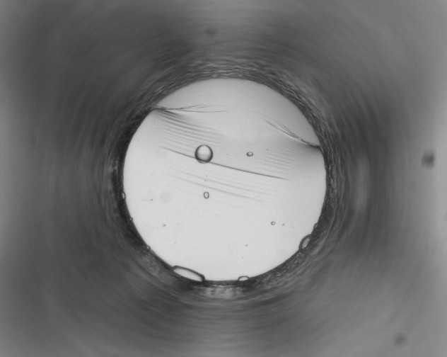 X0000116650225201001111236