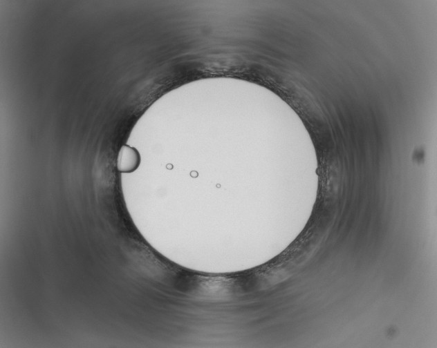 X0000116650226201001111236