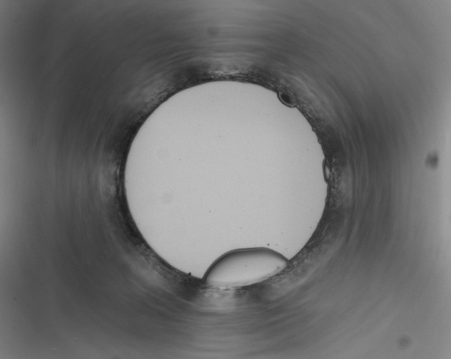 X0000116650227201001111236