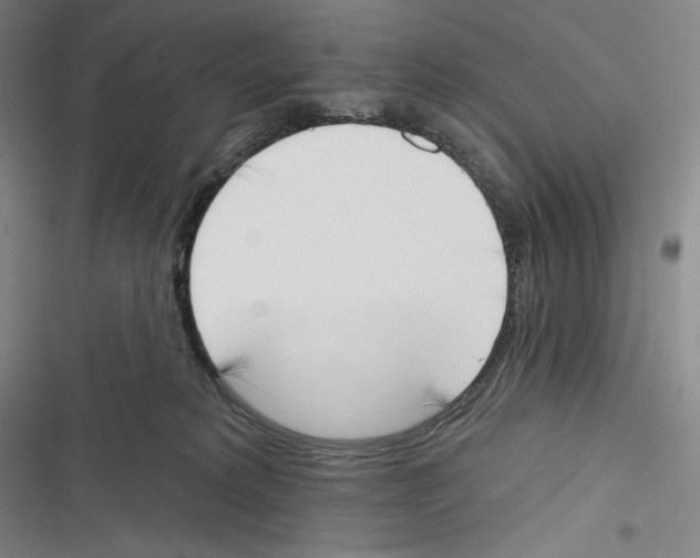X0000116650229201001111236