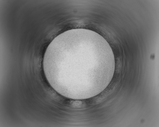 X0000116650230201001111235