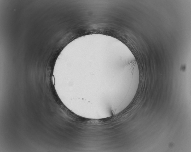 X0000116650231201001111235