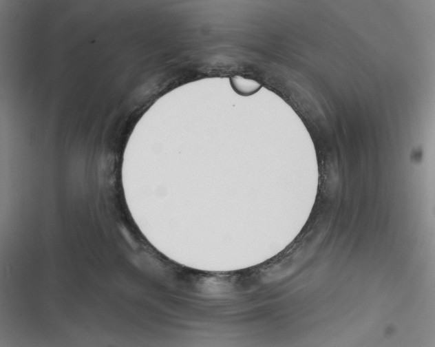 X0000116650232201001111235