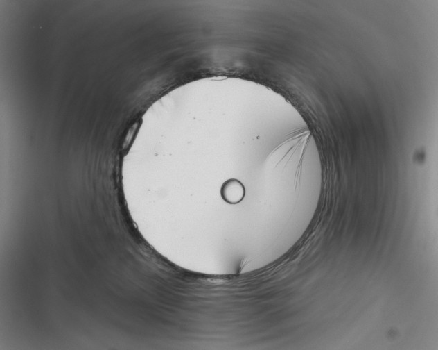 X0000116650233201001111235