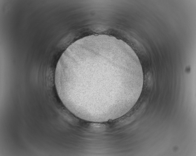 X0000116650234201001111235