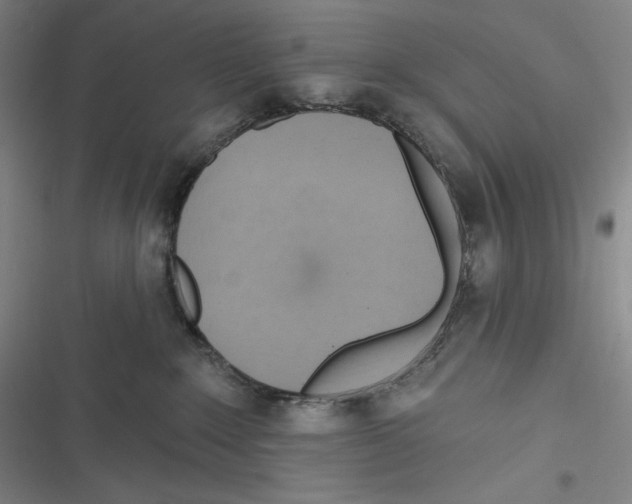X0000116650235201001111235