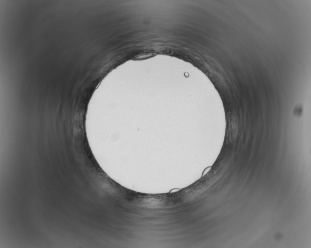 X0000116650236201001111235