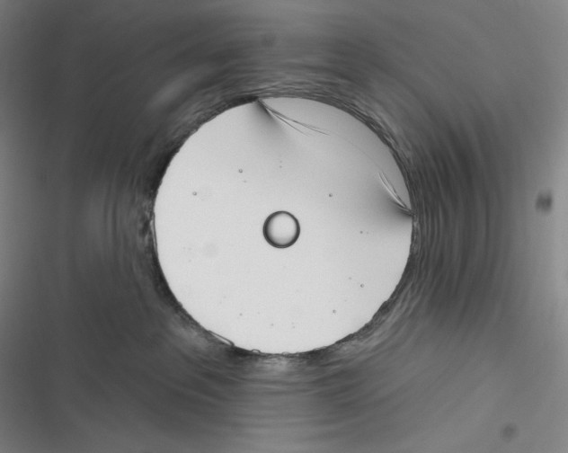 X0000116650237201001111235