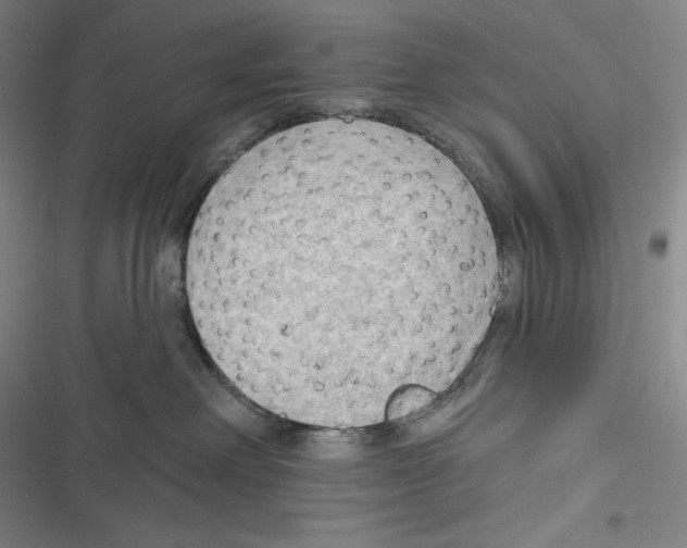 X0000116650238201001111235