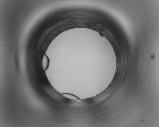 X0000116650239201001111235