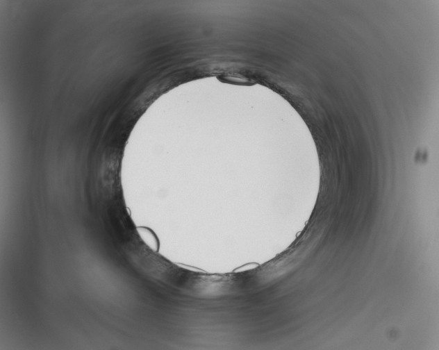 X0000116650240201001111235
