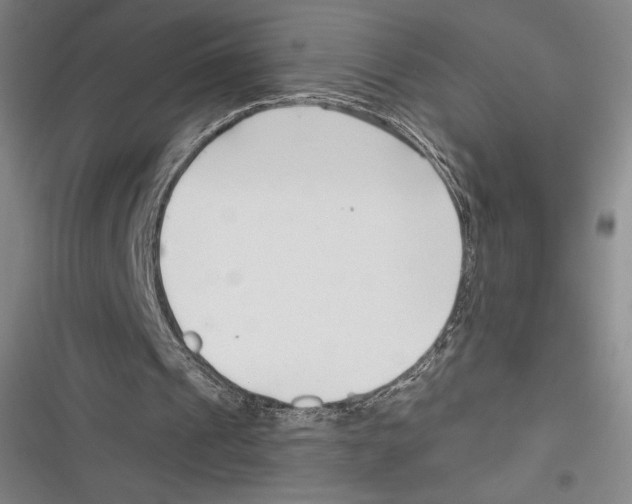 X0000116650241201001111235
