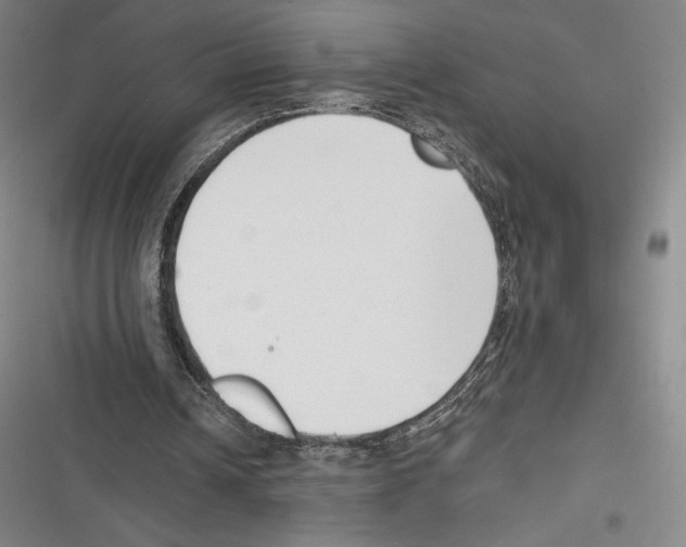 X0000116650242201001111235