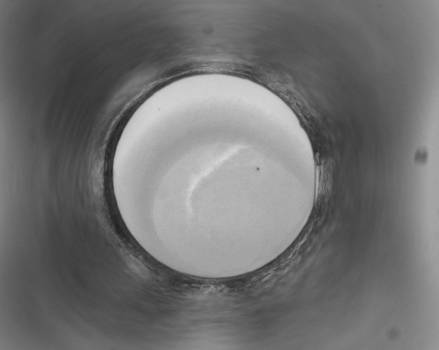 X0000116650243201001111235